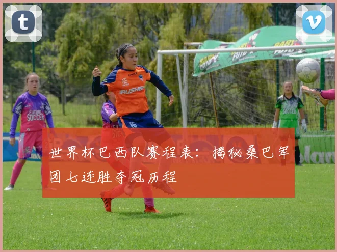 世界杯巴西队赛程表：揭秘桑巴军团七连胜夺冠历程
