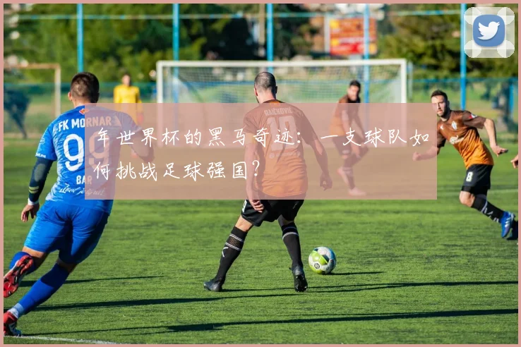 年世界杯的黑马奇迹：一支球队如何挑战足球强国？