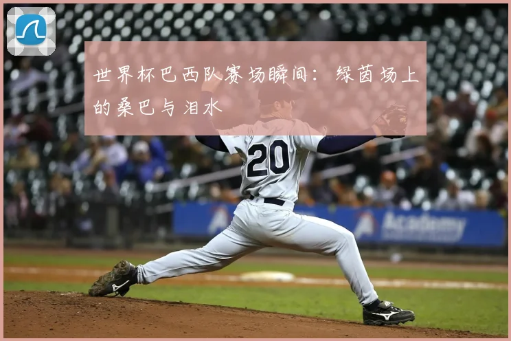 世界杯巴西队赛场瞬间：绿茵场上的桑巴与泪水