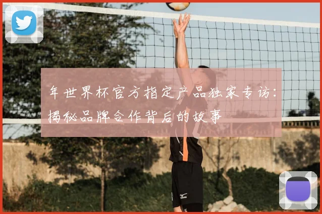 年世界杯官方指定产品独家专访：揭秘品牌合作背后的故事