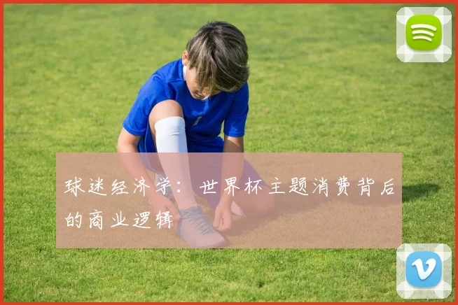 球迷经济学：世界杯主题消费背后的商业逻辑