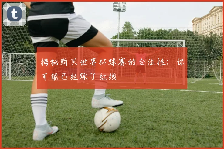 揭秘购买世界杯球赛的合法性：你可能已经踩了红线